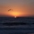 Venice Beach Sunset Seagull
